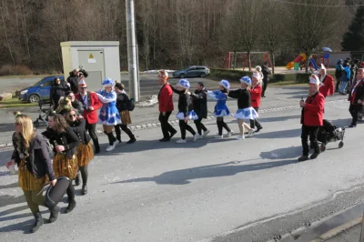 Foto des Albums: Karnevalsumzug 2026