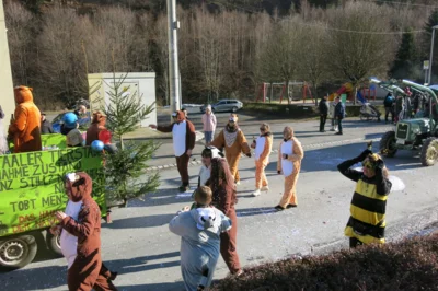 Foto des Albums: Karnevalsumzug 2026