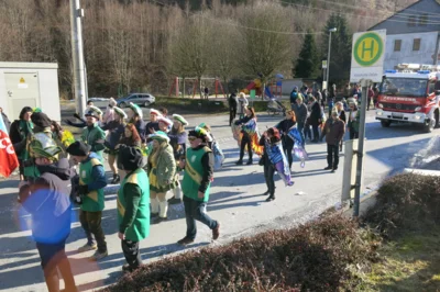 Foto des Albums: Karnevalsumzug 2026