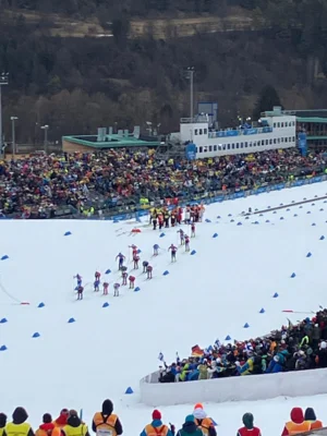 Foto des Albums: Olympia 2026