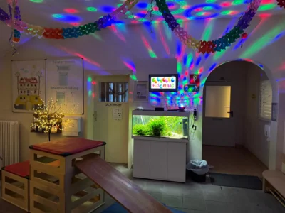 Foto des Albums: Fasching 2026