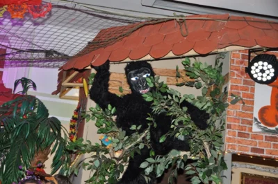 Foto des Albums: Fasching 2026 - 2. Veranstaltung