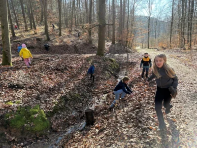 Foto des Albums: Waldtag Frühling 2026