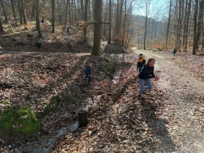 Foto des Albums: Waldtag Frühling 2026