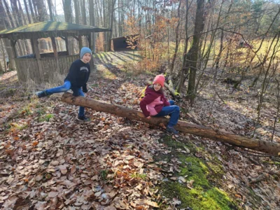 Fotoalbum Waldtag Frühling 2026
