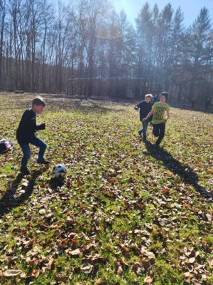 Foto des Albums: Waldtag Frühling 2026