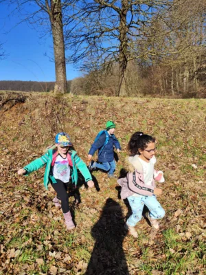 Foto des Albums: Waldtag Frühling 2026