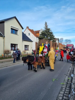 Foto des Albums: Tulpensonntag
