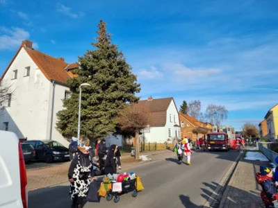 Foto des Albums: Tulpensonntag