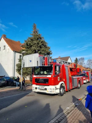 Foto des Albums: Tulpensonntag