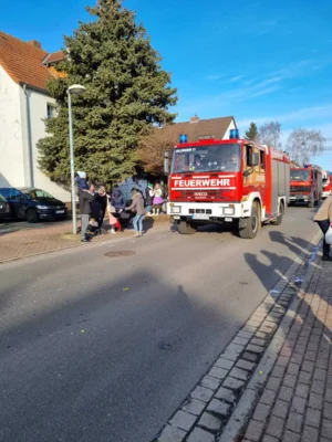 Foto des Albums: Tulpensonntag