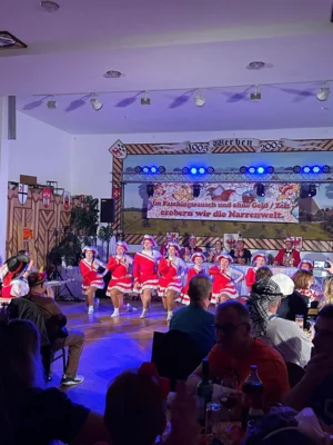 Foto des Albums: Fasching in Werben