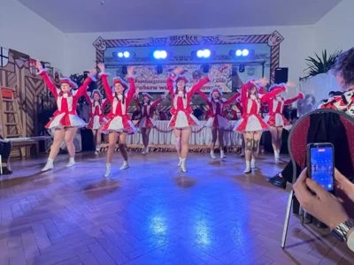 Foto des Albums: Fasching in Werben