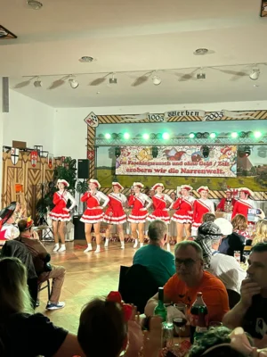 Foto des Albums: Fasching in Werben