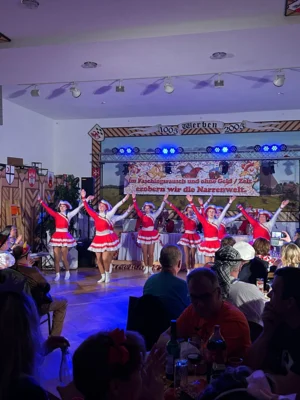 Foto des Albums: Fasching in Werben