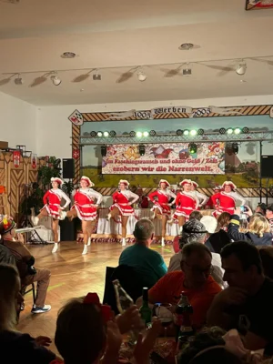 Foto des Albums: Fasching in Werben