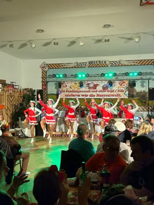 Foto des Albums: Fasching in Werben