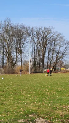 Foto des Albums: Arbeitseinsatz auf dem Sportplatz am 07.03.02026