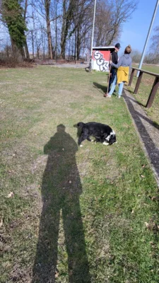 Foto des Albums: Arbeitseinsatz auf dem Sportplatz am 07.03.02026