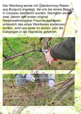 0002  (Bild vergr&ouml;&szlig;ern)