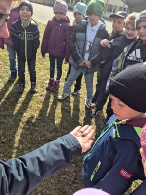 Foto des Albums: In Lumbris Welt - Ein spannender Projekttag rund um den Regenwurm