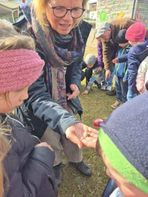Foto des Albums: In Lumbris Welt - Ein spannender Projekttag rund um den Regenwurm
