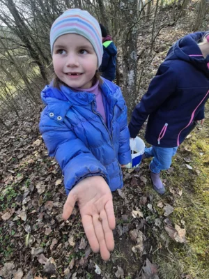 Foto des Albums: In Lumbris Welt - Ein spannender Projekttag rund um den Regenwurm
