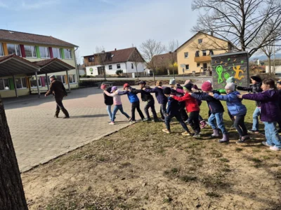 Foto des Albums: In Lumbris Welt - Ein spannender Projekttag rund um den Regenwurm