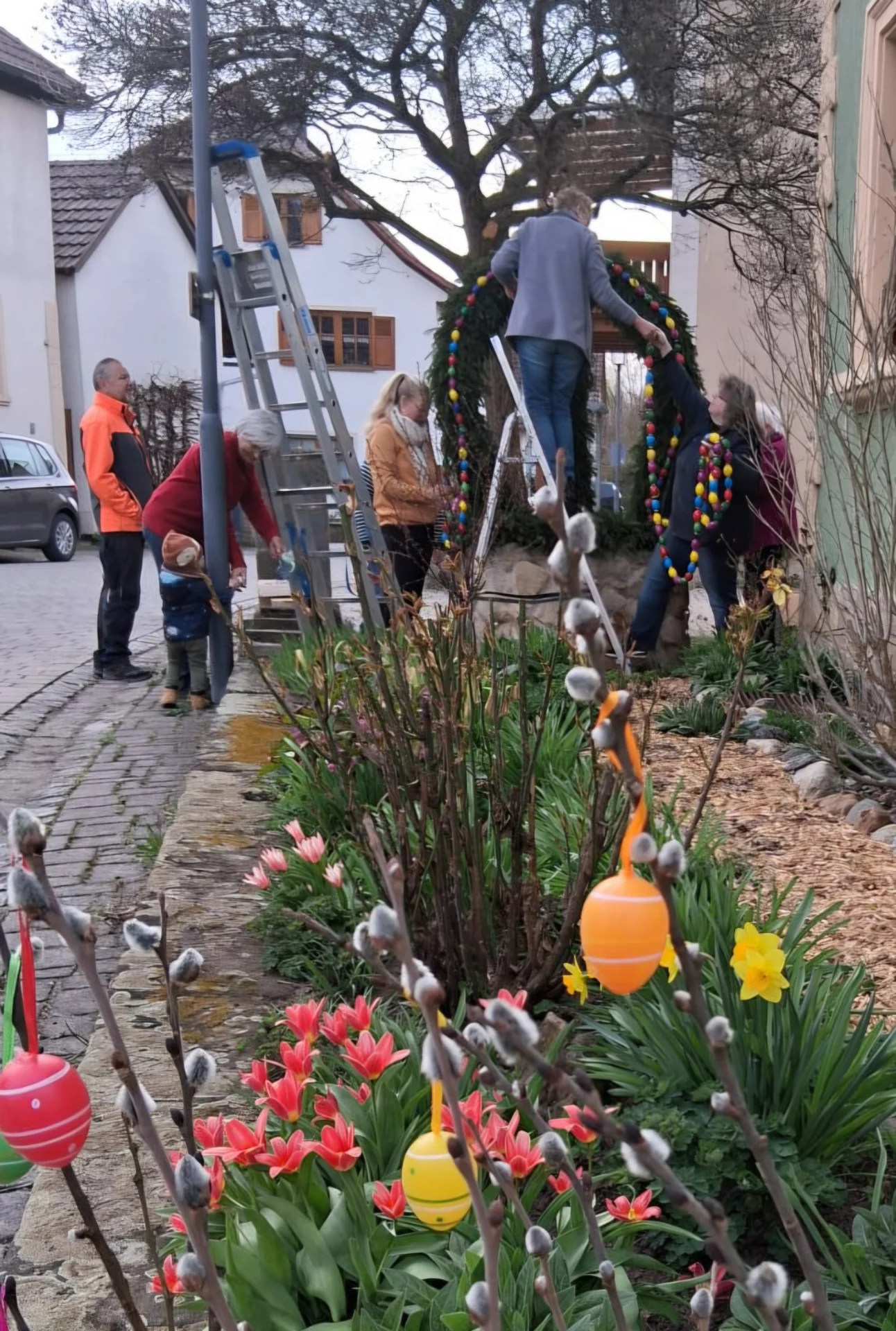 Bild der Galerie