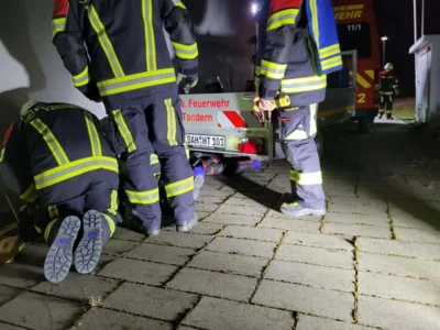 Foto des Albums: Monatsübungen März 2026