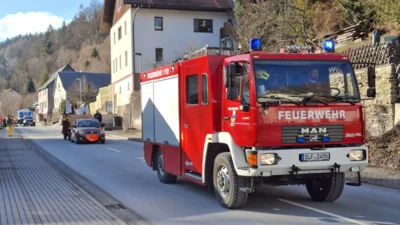 Foto des Albums: 49. Karnevalsumzug