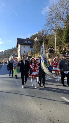 Foto des Albums: 49. Karnevalsumzug