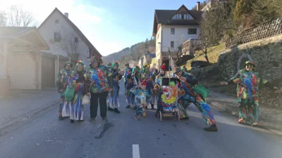 Foto des Albums: 49. Karnevalsumzug