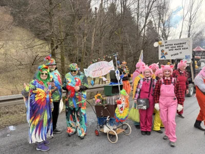 Foto des Albums: 49. Karnevalsumzug