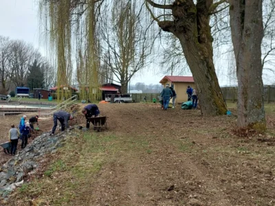 Unter der Trauerweide 