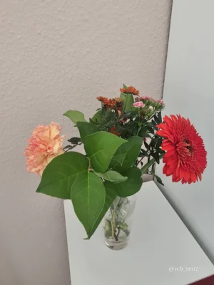Dankesch&ouml;n  (Bild vergr&ouml;&szlig;ern)