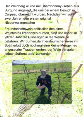 0002  (Bild vergr&ouml;&szlig;ern)