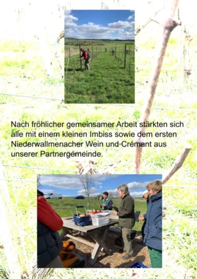 0004  (Bild vergr&ouml;&szlig;ern)