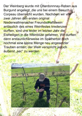 0002  (Bild vergr&ouml;&szlig;ern)
