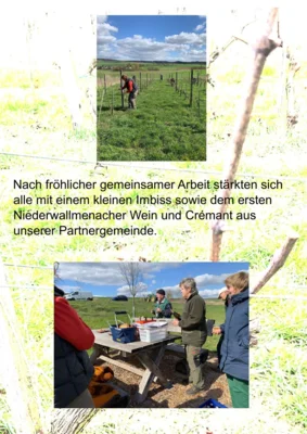 0004  (Bild vergr&ouml;&szlig;ern)