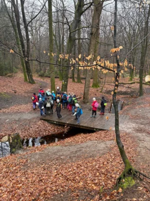 Foto des Albums: Fröruper Berge