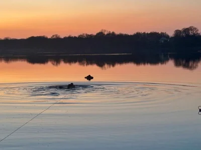 Seeidylle mit Personenrettung aus dem Wasser 