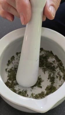 B&auml;rlauchsalz wird im M&ouml;rser zubereitet 