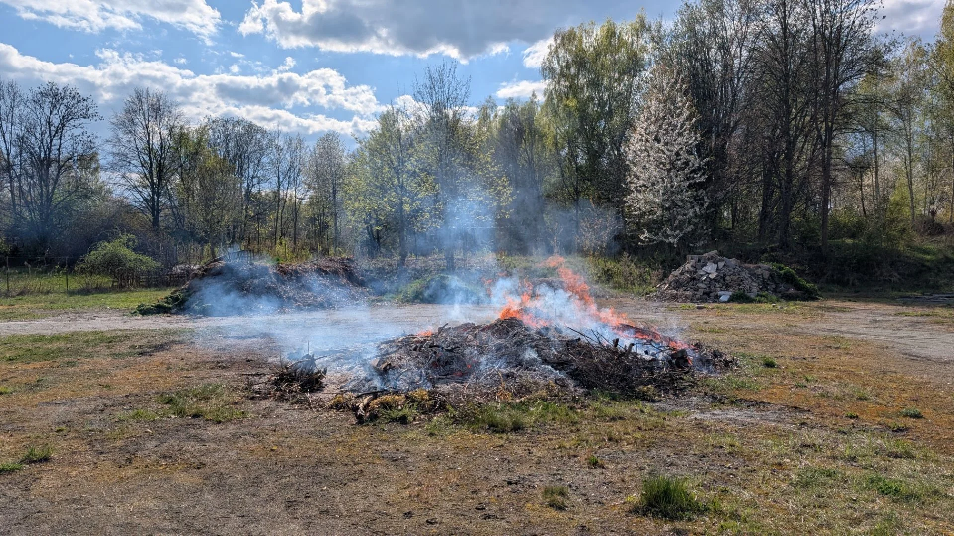 Bild: Niedergebranntes Frühjahrsfeuer