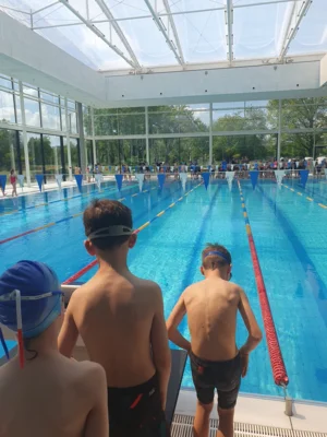 Foto des Albums: Jugend trainiert für Olympia (Schwimmen 2026)