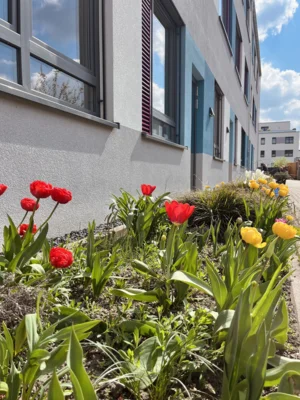 Foto des Albums: Tulpen für Brot 2026