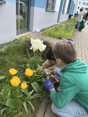 Foto des Albums: Tulpen für Brot 2026