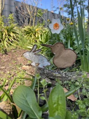 Foto des Albums: Tulpen für Brot 2026