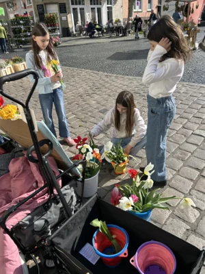 Foto des Albums: Tulpen für Brot 2026