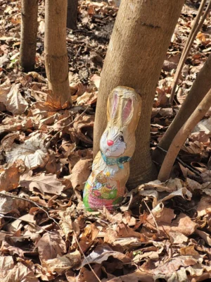 Foto des Albums: Osterprojekttag 2026